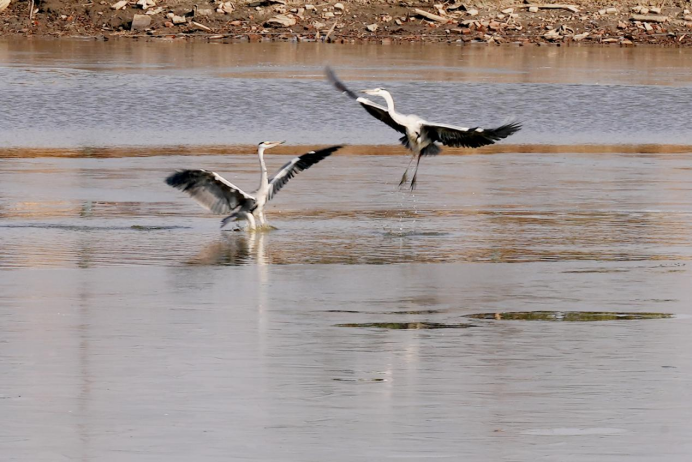 1727334782454271.png bafdbe83664440eaae80d6d022b7ba84.png