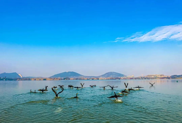 1743558500211740.png s_87d1574b6f85496a8ebf10f8283c6aac.png