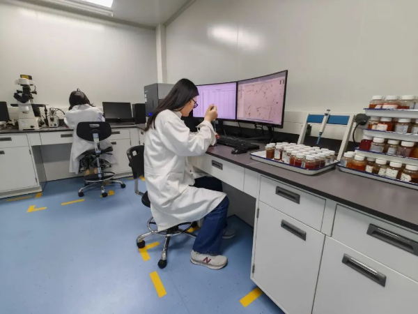 1750056231672915.png s_717a0cbf40d444febc65fff9f33f162e.png