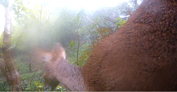 1759819699161168.png s_7fd43c84c44e480dbced4593c2661977.png