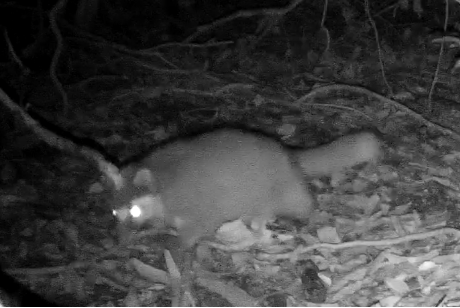 1759819947234149.png s_e7393c71d2f247bab7fc07eeb3972a28.png