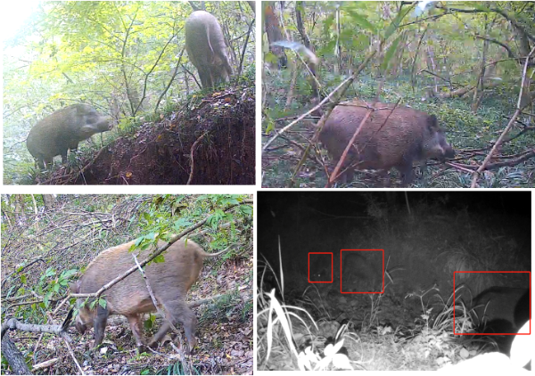 1759819979159541.png s_64d92fdf345d480281cd11d8f86702c9.png