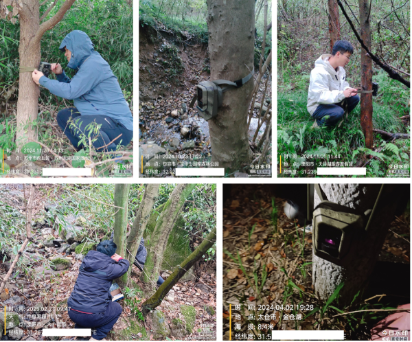 1759820175154745.png s_a5a056aad17e47438b5b4dadb967410b.png